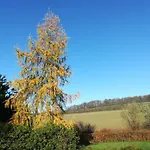 Bed & Breakfast Carpe Diem Mont (Namur)