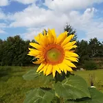Carpe Diem Bed & Breakfast Mont (Namur)