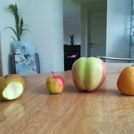 Carpe Diem 住宿加早餐酒店 3*