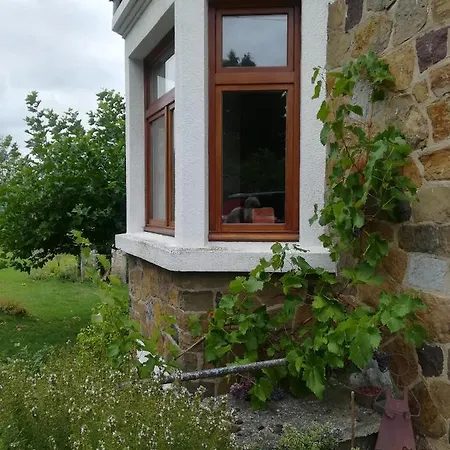 住宿加早餐酒店 Carpe Diem