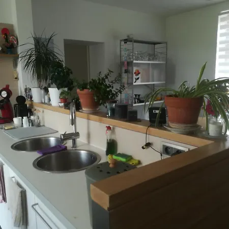 住宿加早餐酒店 Carpe Diem