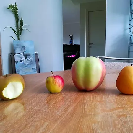 Alojamento de Acomodação e Pequeno-almoço Carpe Diem Mont (Namur)