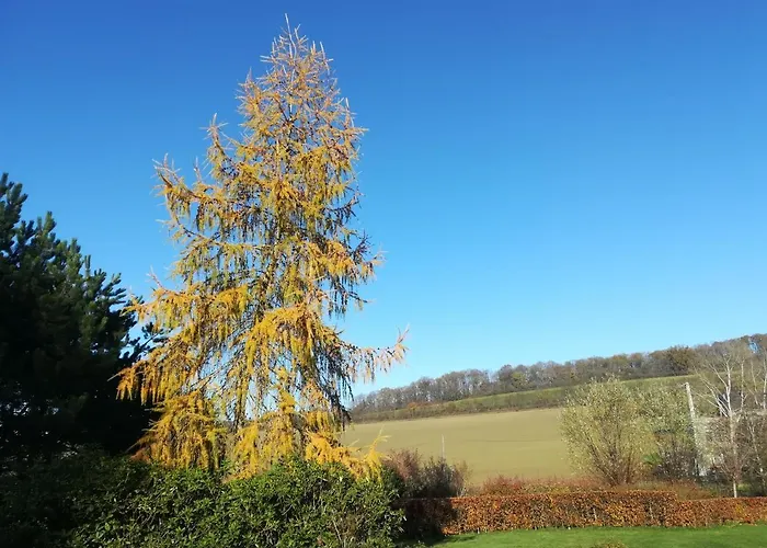 Bed and Breakfast Carpe Diem Mont (Namur)