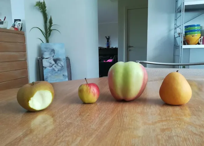 Carpe Diem Bed and Breakfast 3*